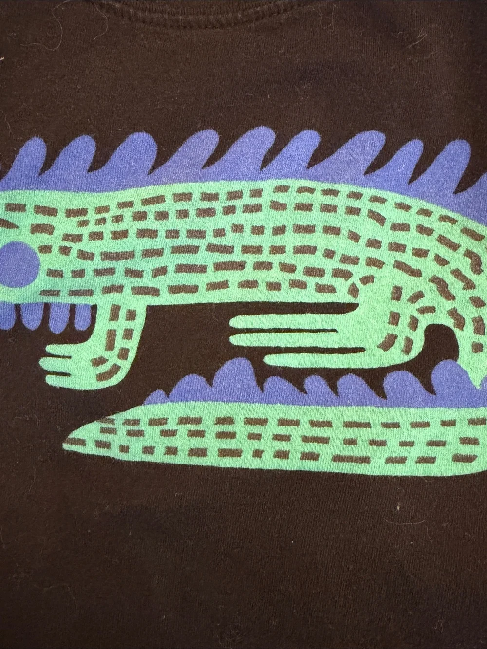 Hanna Andersson Boy’s 6-7 Black Short Sleeve Tshirt w/ Lizard Iguana Graphic